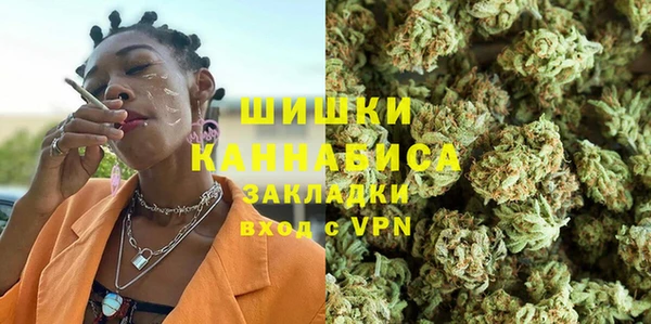 сатива Балахна