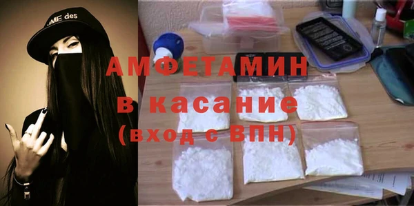 сатива Балахна