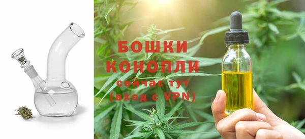 сатива Балахна