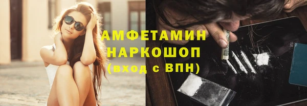 сатива Балахна