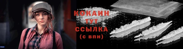 трава Белокуриха